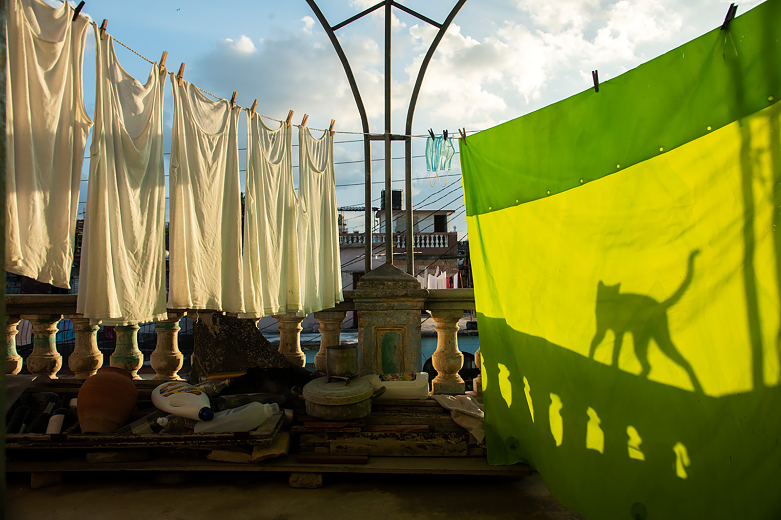 home It is an everyday moment and my cat appears to steal the show